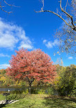 Gallup Park