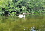 Gallup Park