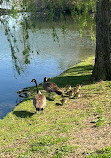 Gallup Park