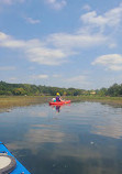 Gallup Park