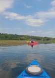 Gallup Park