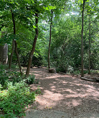 Olmsted Woods