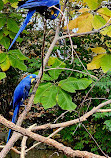 Nashville Zoo at Grassmere