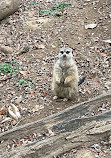 Nashville Zoo at Grassmere