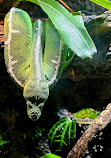 Nashville Zoo at Grassmere