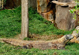 Nashville Zoo at Grassmere