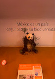 Museo de Historia Natural