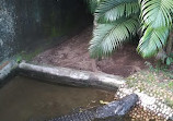 Reptile Park