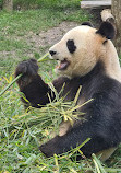 Zooparc de Beauval