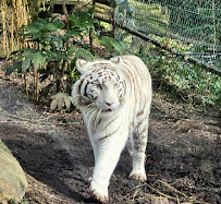 Zooparc de Beauval