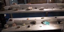 Museo de Geología de la UQ