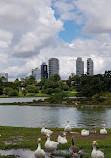 Parque Barigui