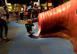 Arizona Science Center