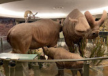 Canadian Museum of Nature