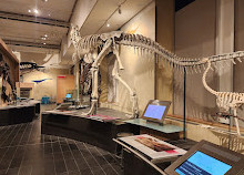Museo canadese di storia naturale