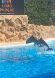 Dolphinarium