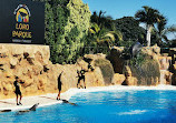 Dolphinarium