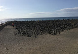 El Castillo San Felipe