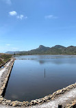 Calblanque, Monte de las Cenizas y Peña del Águila Regional Park