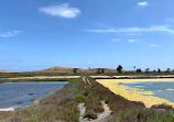 Calblanque, Monte de las Cenizas y Peña del Águila Regional Park