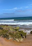 Calblanque, Monte de las Cenizas y Peña del Águila Regional Park