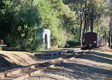 Ferrocarril Nobelius Puffing Billy