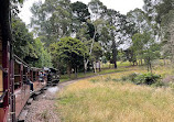 Nobelius Puffing Billy Railway