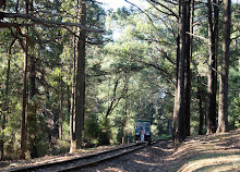 Ferrocarril Nobelius Puffing Billy