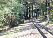 Ferrocarril Nobelius Puffing Billy