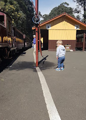 Ferrocarril Nobelius Puffing Billy