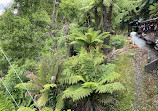 Nobelius Puffing Billy Railway