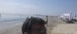 Mamaia Beach Side