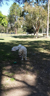 Parque del distrito de Calamvale