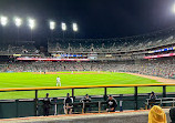 Comerica Park