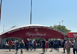 Stampede grounds