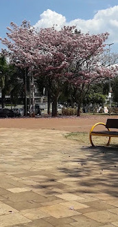 Parco Carlos Alberto de Souza