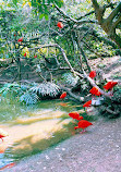 Parque Zoológico Itatiba