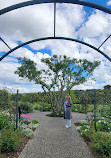 Auckland Botanic Gardens