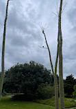 Auckland Botanic Gardens