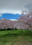 Auckland Botanic Gardens