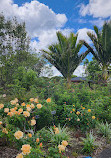 Auckland Botanic Gardens