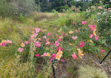 Auckland Botanic Gardens