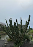 Auckland Botanic Gardens