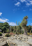 Auckland Botanic Gardens