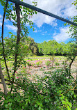 Auckland Botanic Gardens