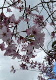 Auckland Botanic Gardens