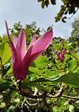 Auckland Botanic Gardens