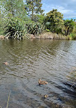 Auckland Botanic Gardens