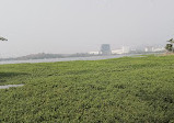 Powai Lake