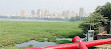 Powai Lake